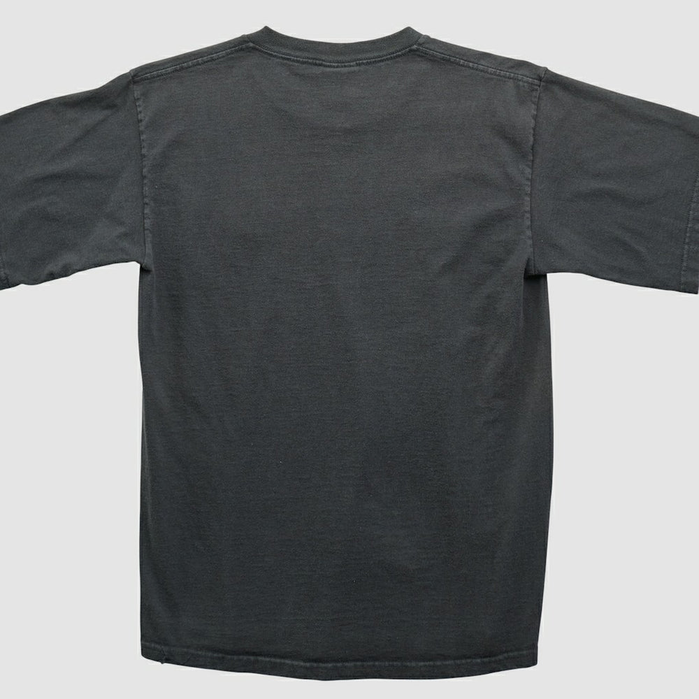 NFL Pittsburgh Steelers NFL 2000s T-shirt