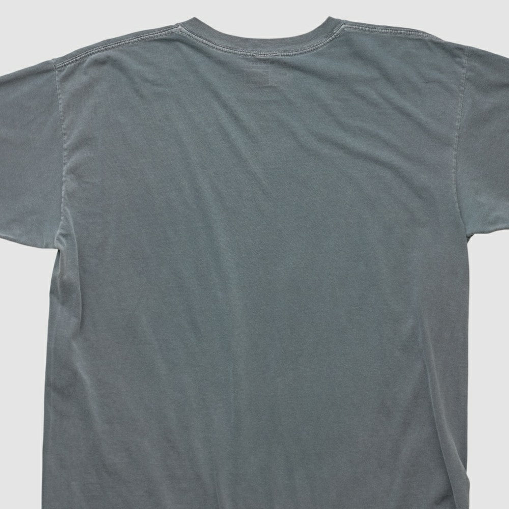 Boston Red Sox 2009 T-shirt - Charcoal Vintage | Nike
