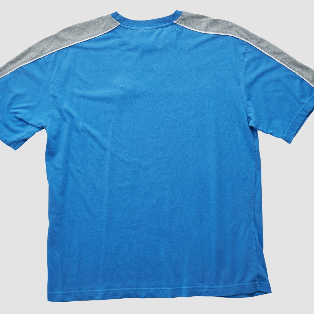 NFL Detroit Lions NFL 2000s T-shirt