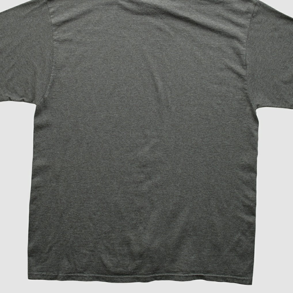 NFL Pittsburgh Steelers NFL 2010s T-shirt