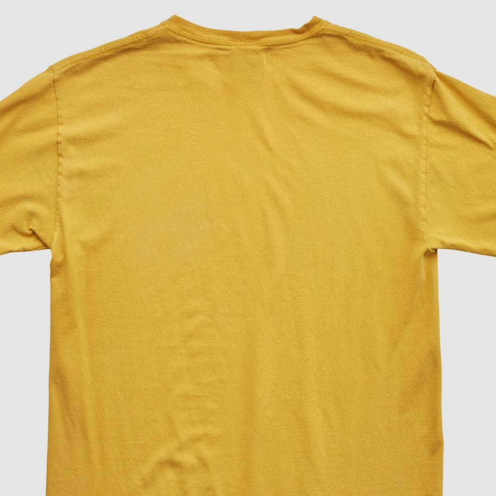 NFL Pittsburgh Steelers NFL 2010s T-shirt