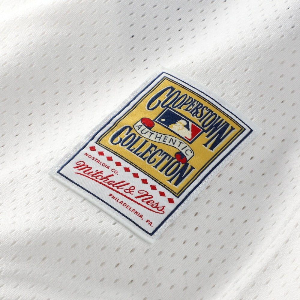 Carlton Fisk Chicago White Sox Authentic Batting Practice Jersey - White | Mitchell & Ness