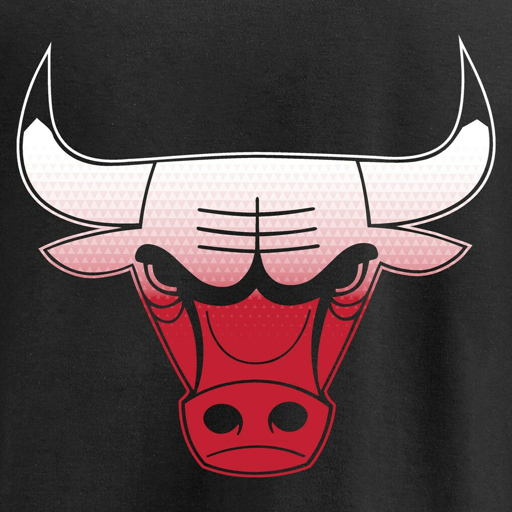 Chicago Bulls Gradient Logo Pullover Hoodie - Black cheap