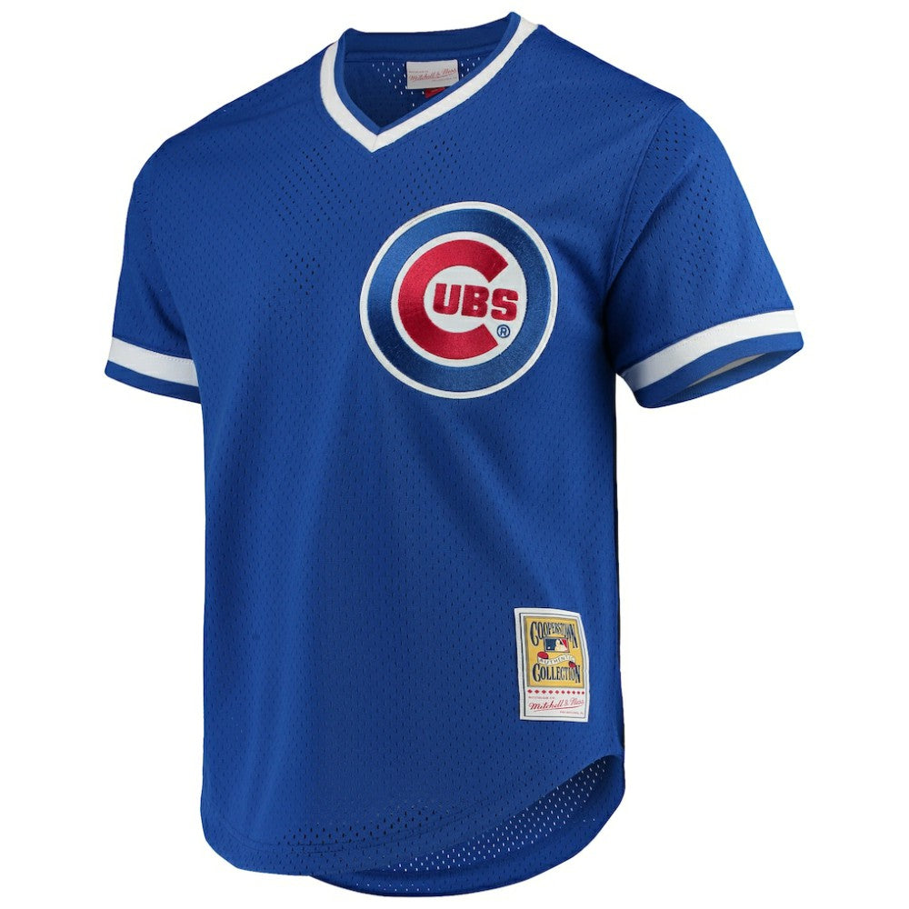 Andre Dawson Chicago Cubs Authentic Batting Practice Jersey - Royal | Mitchell & Ness