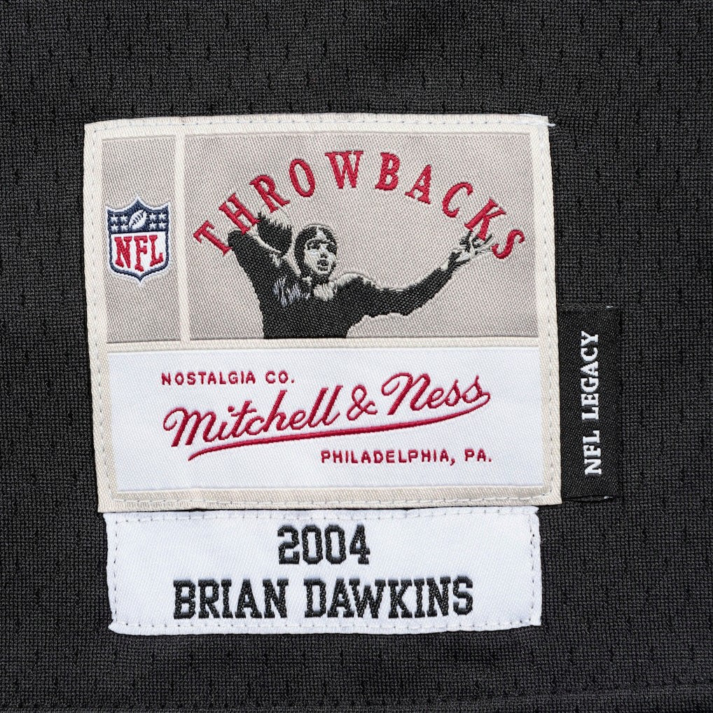 NFL Philadelphia Eagles Brian Dawkins  Legacy Replica Jersey