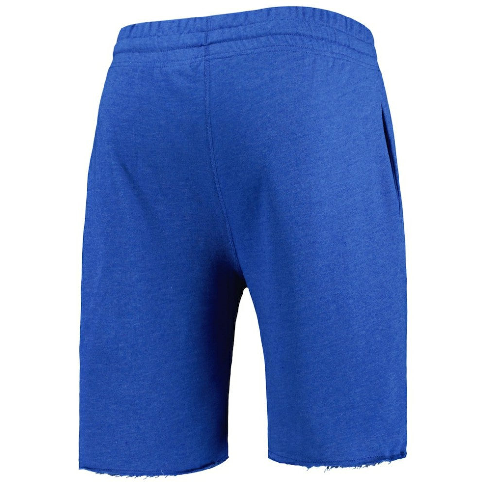 Chicago Cubs Concepts Sport Mainstream Terry Shorts - Heather Royal