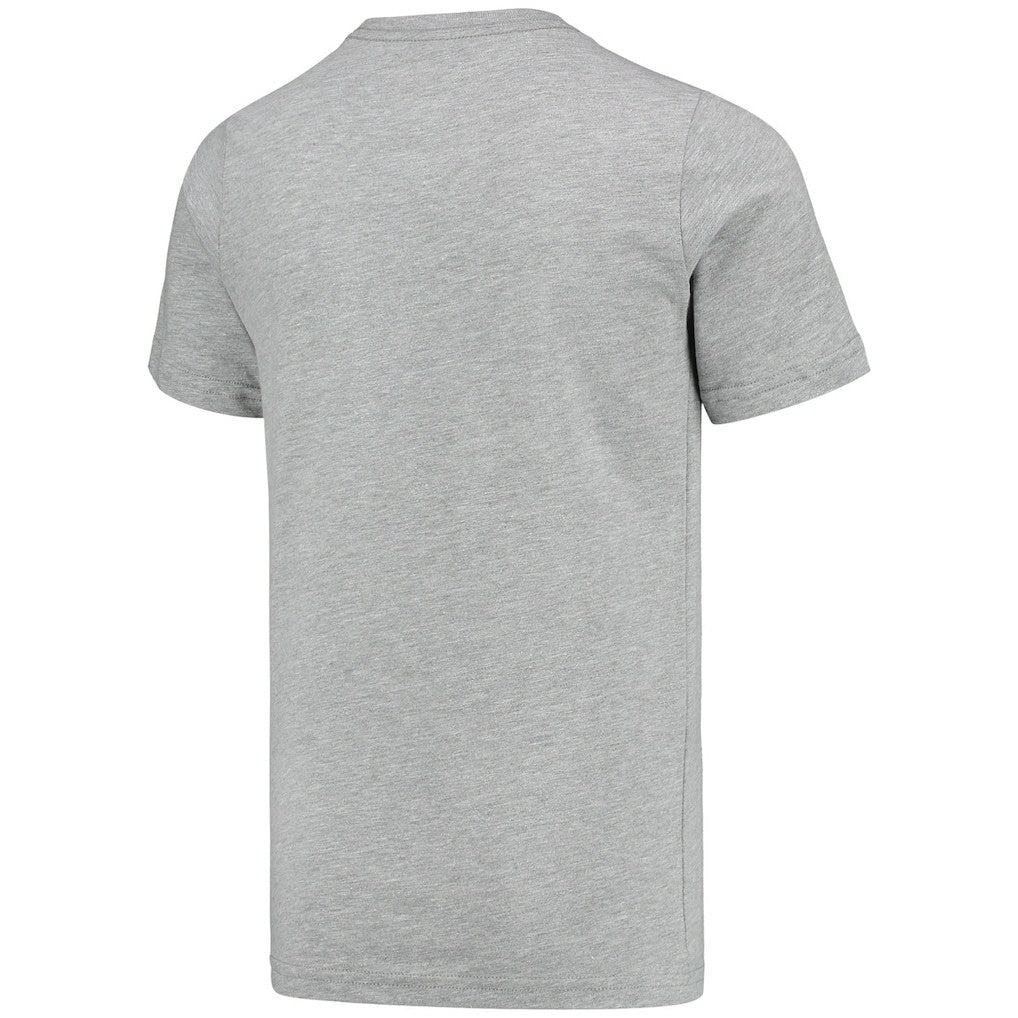 Larry Johnson Charlotte Hornets Youth Hardwood Classics King of the Court Player T-Shirt - Gray | Mitchell & Ness for sale