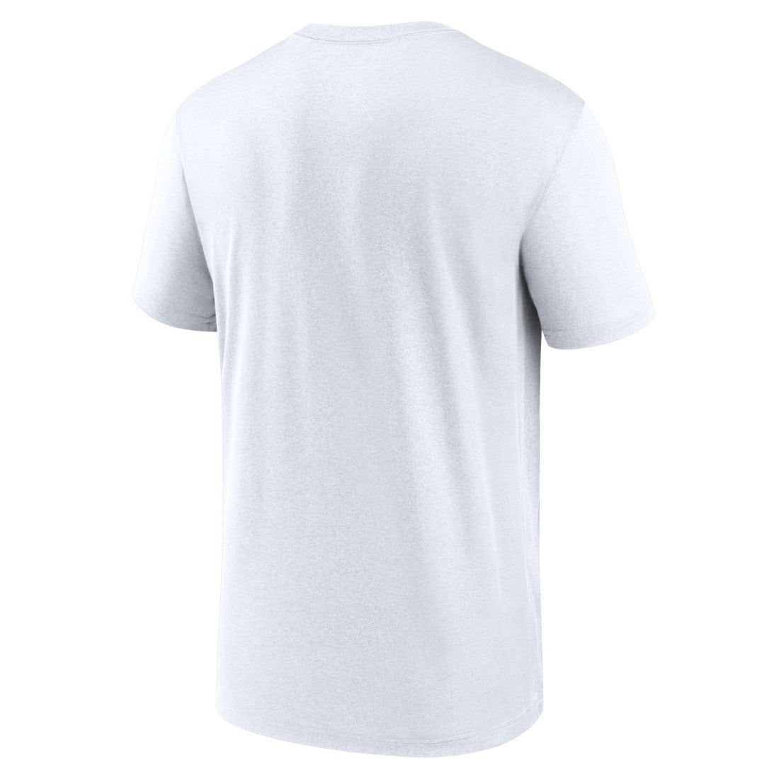 NFL Tampa Bay Buccaneers Icon Legend Performance T-Shirt
