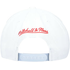 Chicago Bulls Day 5 Snapback Hat - Gray/White | Mitchell & Ness discount