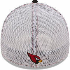 NFL Arizona Cardinals Team Banded 39THIRTY Flex Hat