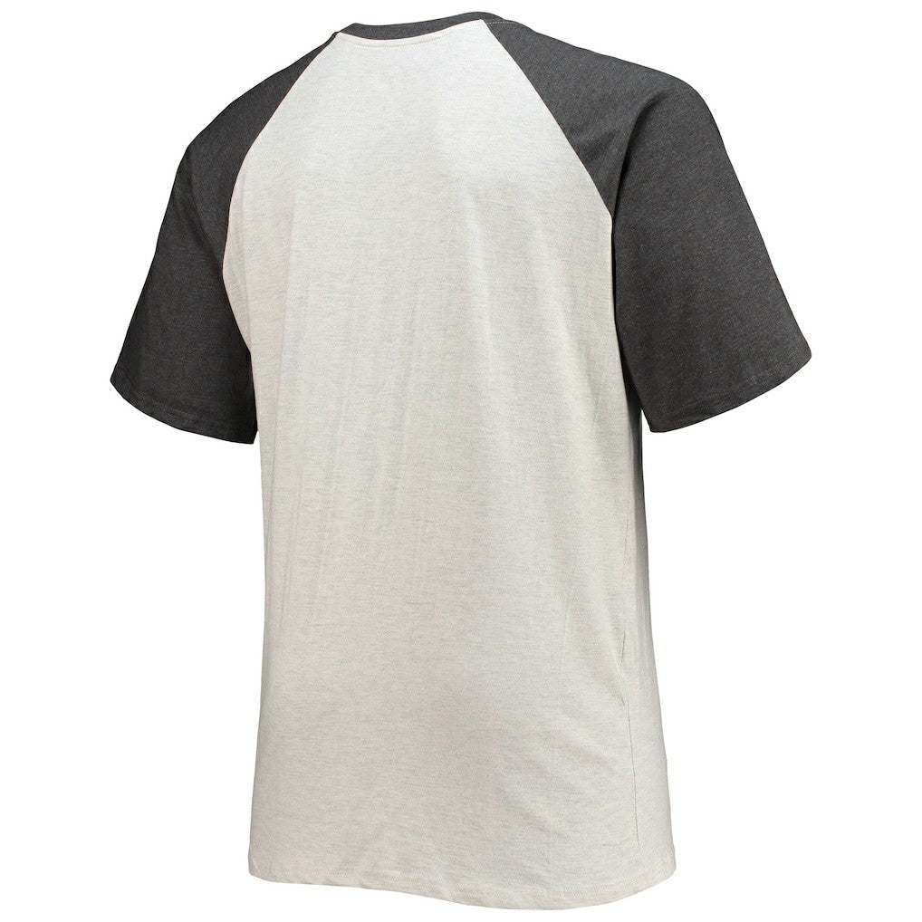 NFL Washington Commanders Big & Tall Wordmark Raglan T-Shirt