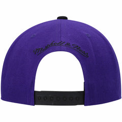 Sacramento Kings Hardwood Classics Snapback Hat - Purple/Black | Mitchell & Ness on sale