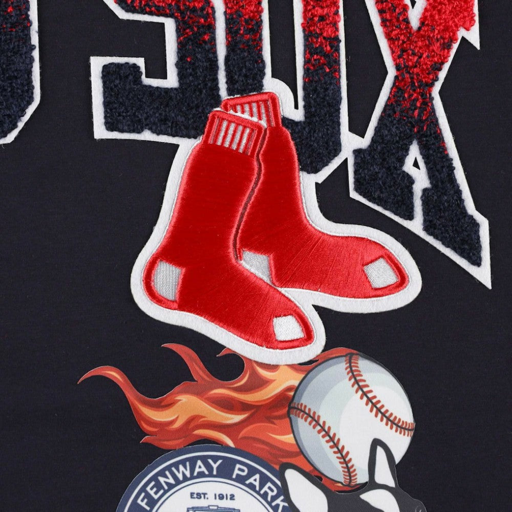 Boston Red Sox Pro Standard Hometown T-Shirt - Navy