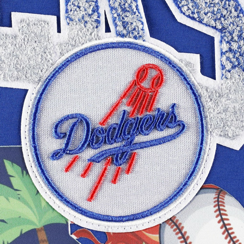 Los Angeles Dodgers Pro Standard Hometown T-Shirt - Royal
