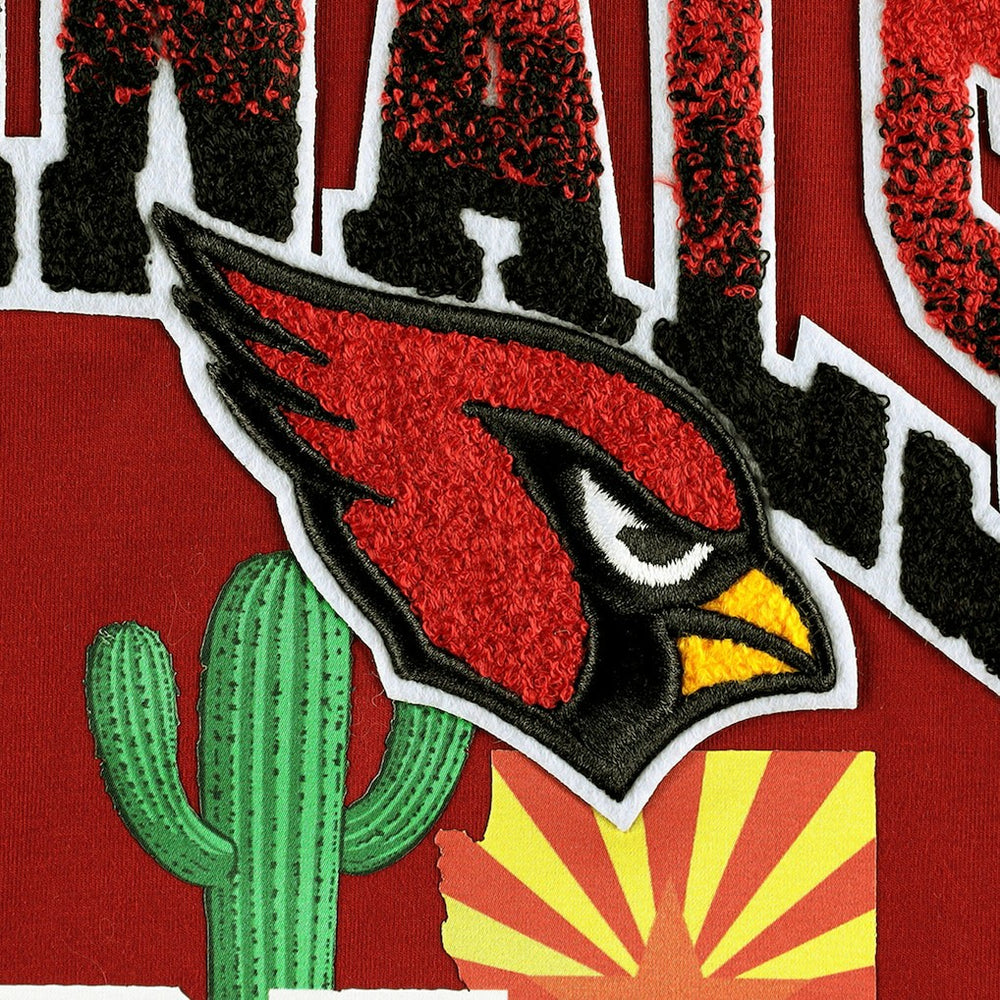 NFL Arizona Cardinals Pro Standard Hometown Collection T-Shirt