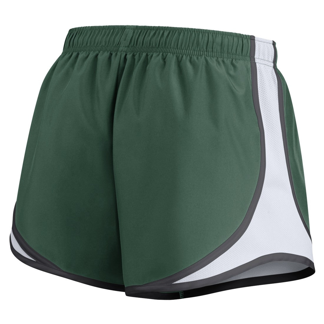 NFL Green Bay Packers Women's Plus Size Tempo Shorts