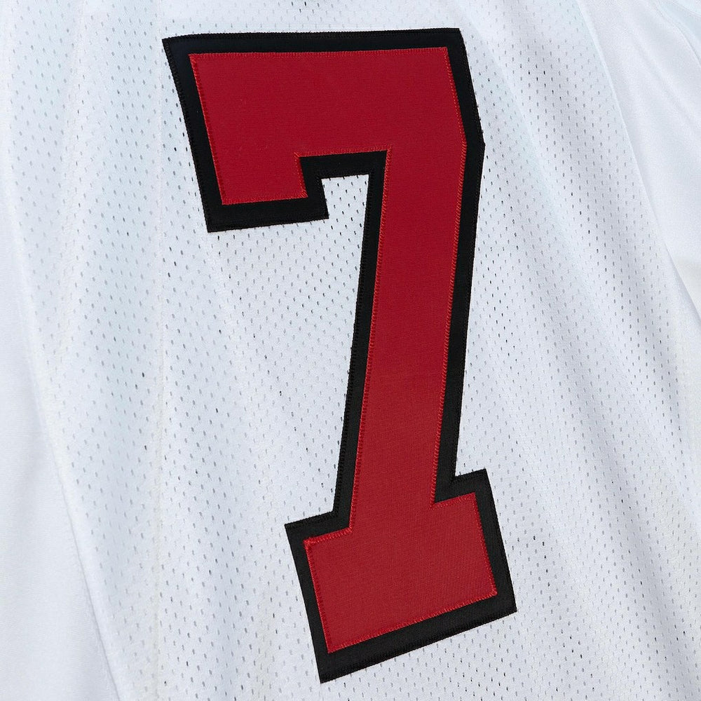 NFL Atlanta Falcons Michael Vick  2001 Authentic Throwback Retired Player Jersey