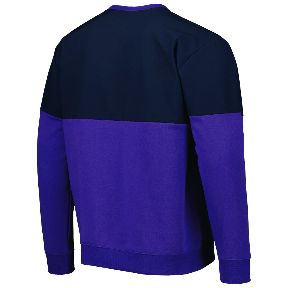 Argentina National Team Graphic Pullover Sweatshirt / Soccer Online