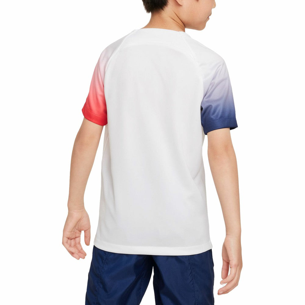 Paris Saint-Germain Youth 2023/24 Academy Pro Performance Pre-Match Top / Soccer Discount