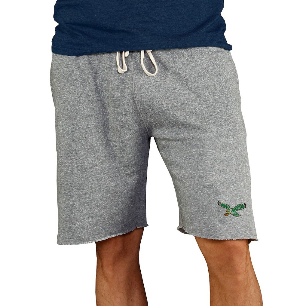 NFL Philadelphia Eagles Concepts Sport Throwback Logo Mainstream Terry Shorts