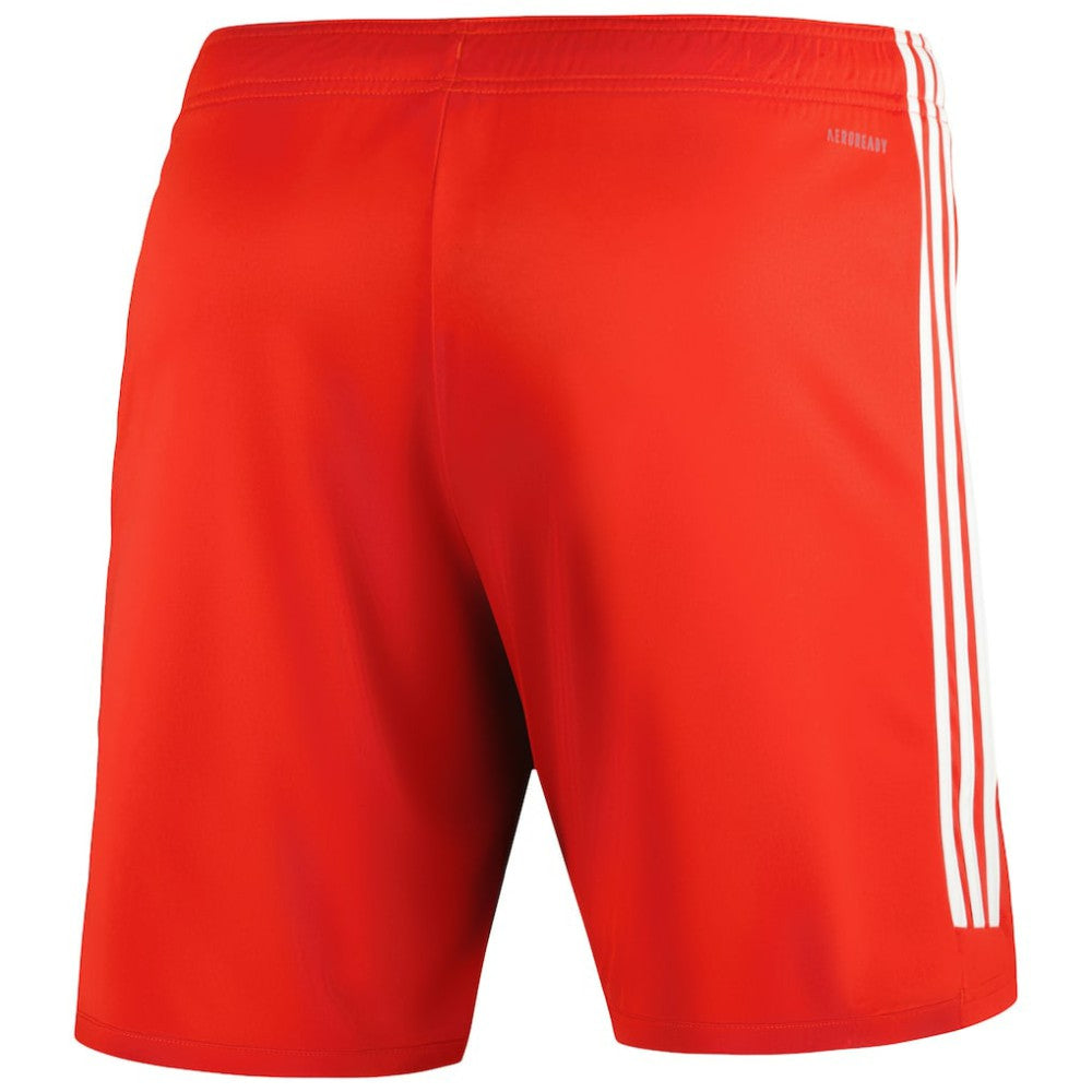 Bayern Munich 2023/24 Training Shorts / Soccer On sale