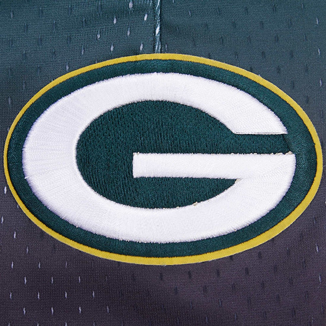 NFL Green Bay Packers Pro Standard Ombre Mesh Shorts