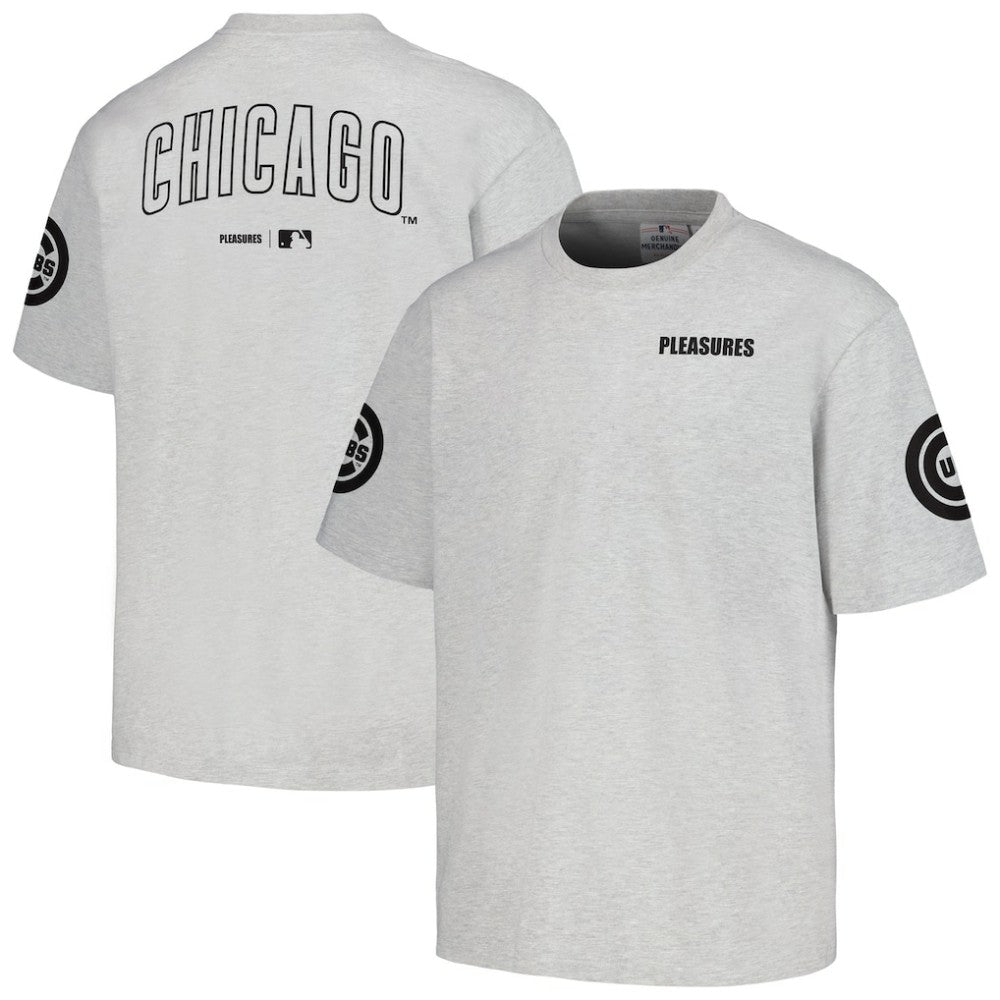 Chicago Cubs PLEASURES Team T-Shirt - Gray