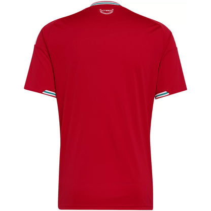 Wales Home Jersey World Cup 2026