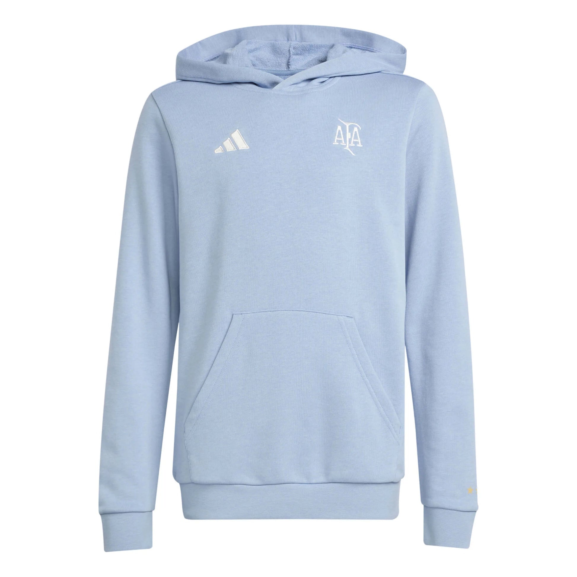 2025-26 Argentina Youth Anniversary DNA Soccer Hoodie  | Sale