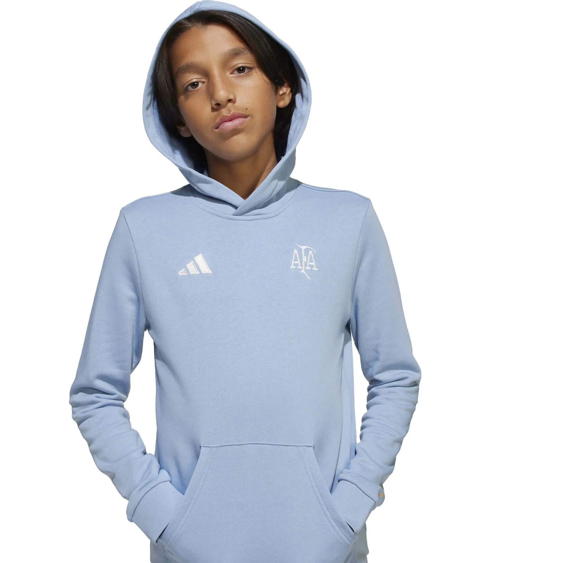 2025-26 Argentina Youth Anniversary DNA Soccer Hoodie  | Sale