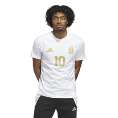 2026 Argentina Men's Messi Name And Number Tee  | Online