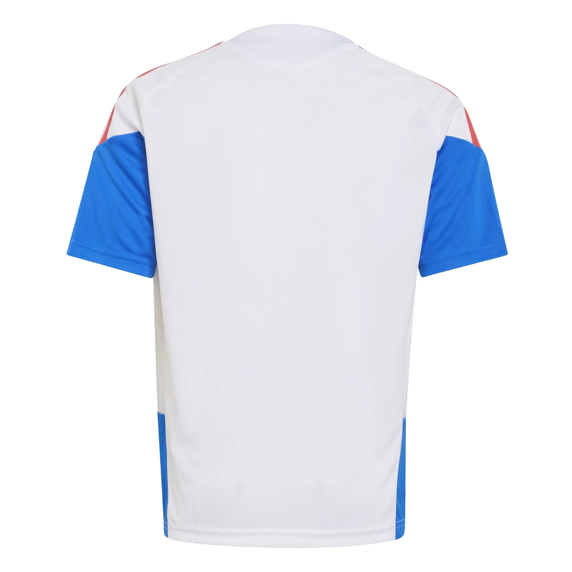 2026 Colombia Youth Training Soccer Jersey  | For sale
